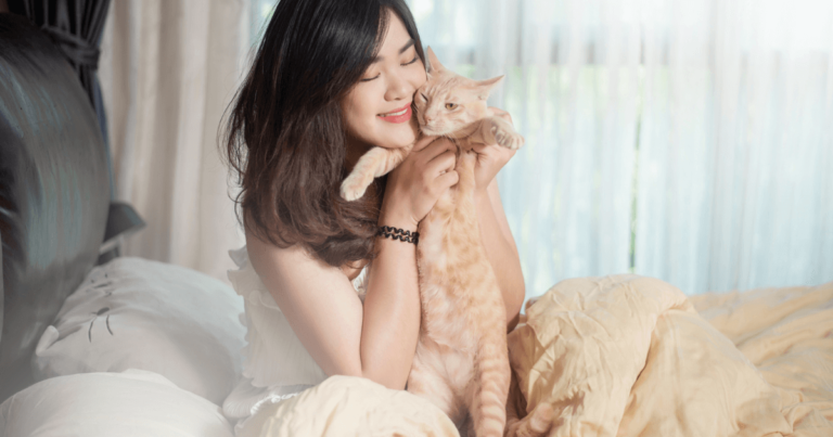 Cats and Feng Shui: Creating a Harmonious Home